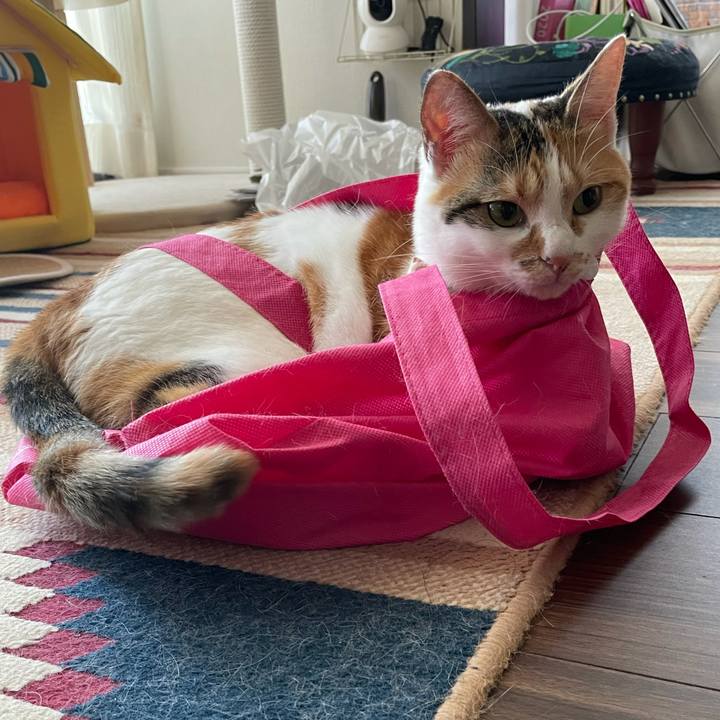 8b303459 e070 485f 9a84 40136d873f52 1633318703571