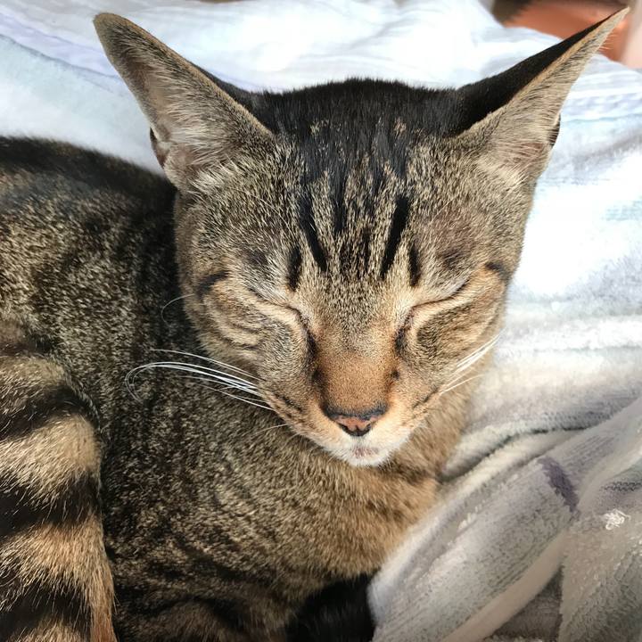 8b304a4b fde5 4619 97cc 5c77226a7684 1525137732626