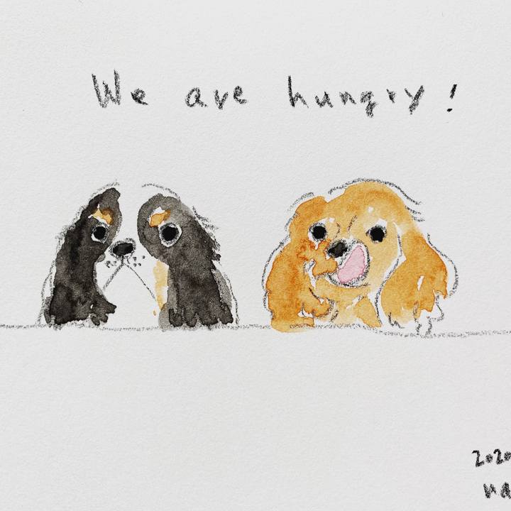 8b305613 97d5 41bf b8be 673dc9cc91d1 1588025558696