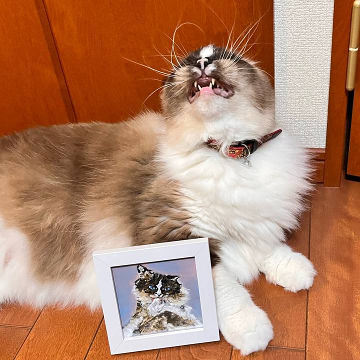 8b3064f6 9ba6 405b 9a6f 8122d0e720c0 1669533702767