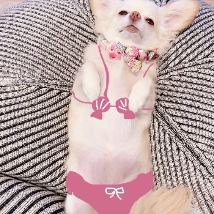 8b3078d3 2e58 4ec6 a183 81027afef21c 1692793965486