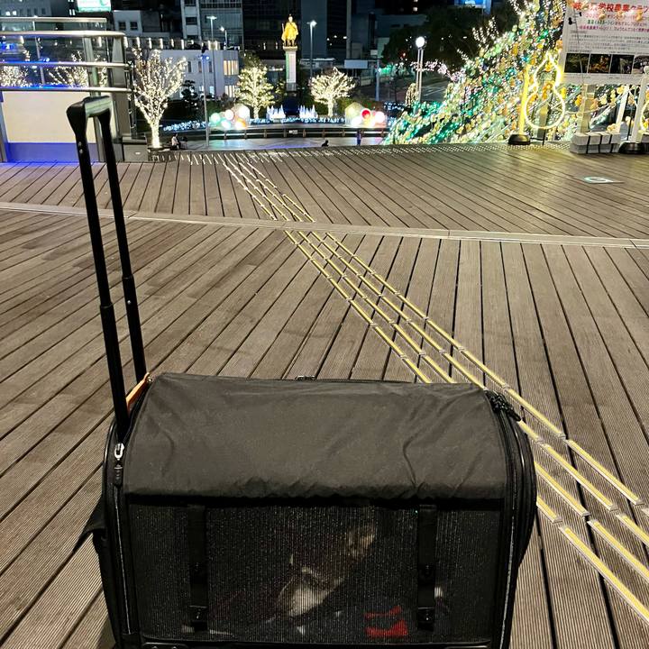 8b30faff 4508 45c9 9b16 042b5ba4593d 1641122479357