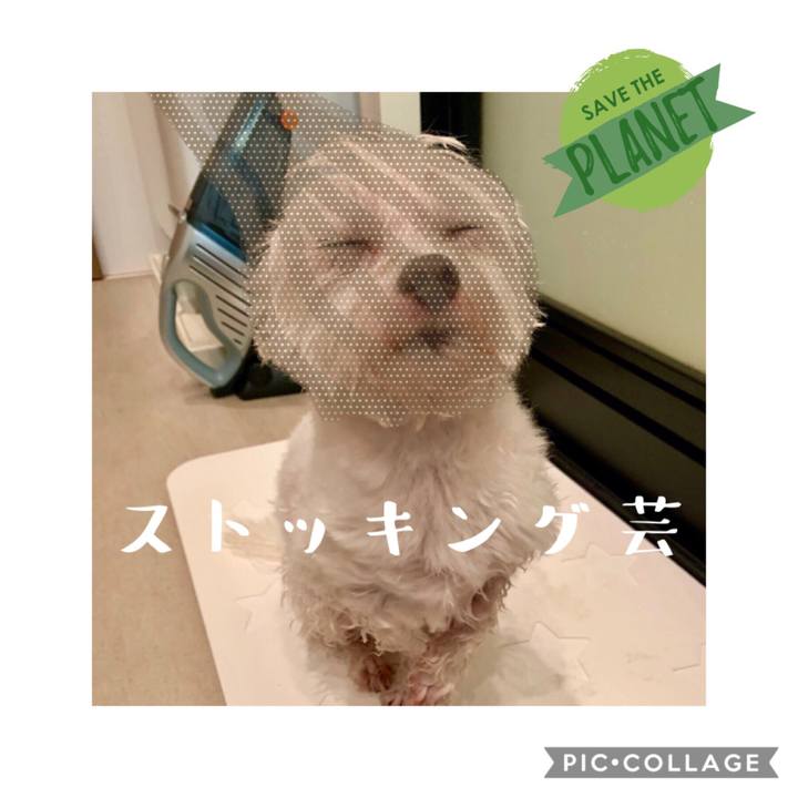 8b314947 704f 4039 9227 d609549eb9ca 1567952873544