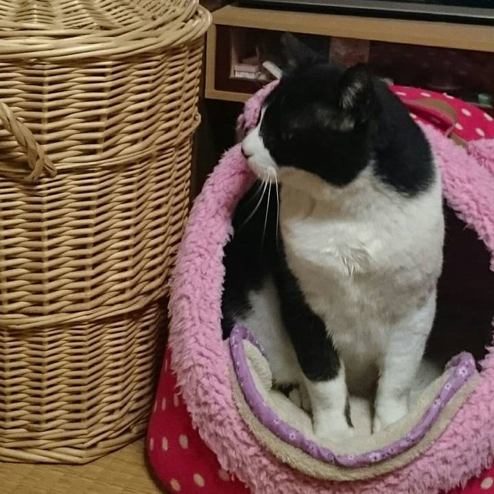 8b3152ea e271 4f25 8b9e 44481431a010 1523875407007