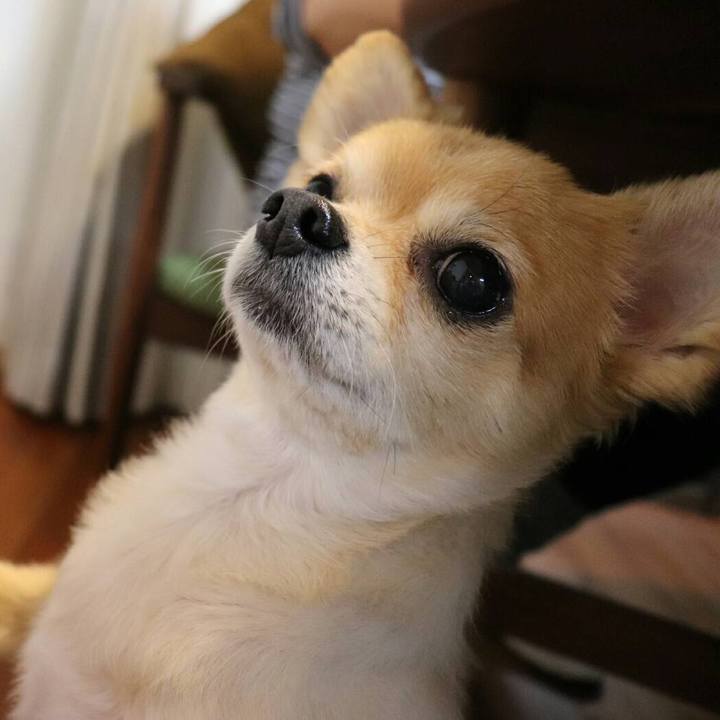 8b31647c e6cb 4b45 a92a 8b0d7a53f004 1529156516394