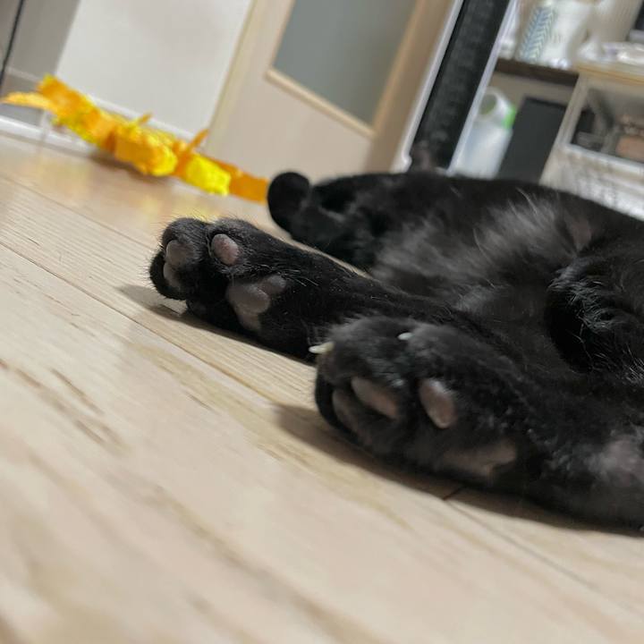 8b3177b0 f73e 4500 9b0c f587595967f5 1693315999496