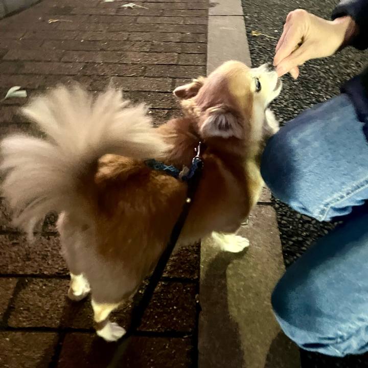 8b317d60 d35f 49ba 8eea b14e9d0aaf3c 1762802578786