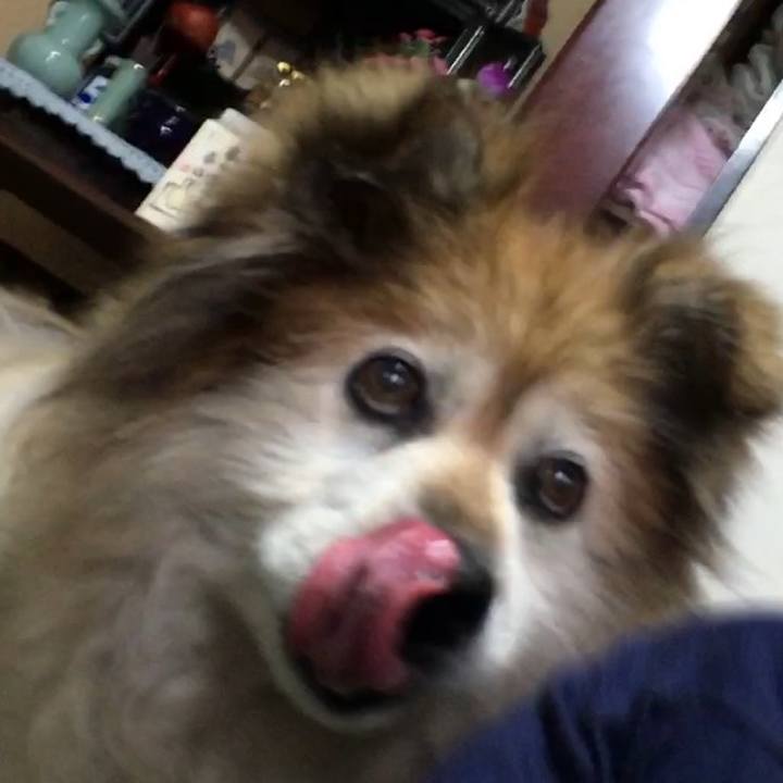 8b318bc6 9f83 42cb b040 8ebe3126eacc 1639803907735