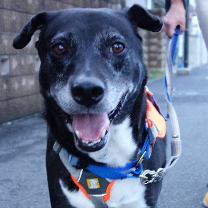 8b31d1c6 5c8d 49c7 a9e0 1572b052297e 1750849075650