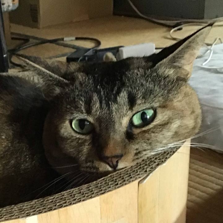 8b31f3bc 9ebf 41e7 ac07 af80c2819e7a 1722416038453