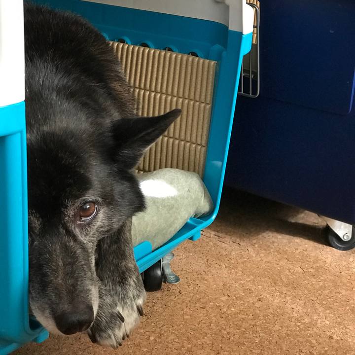 8b32143b e95b 419b a6b3 5bb81522d94c 1515382333266