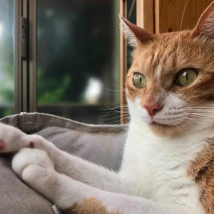 8b3255a1 9781 4024 9dd7 7716137ae8d4 1556704133534