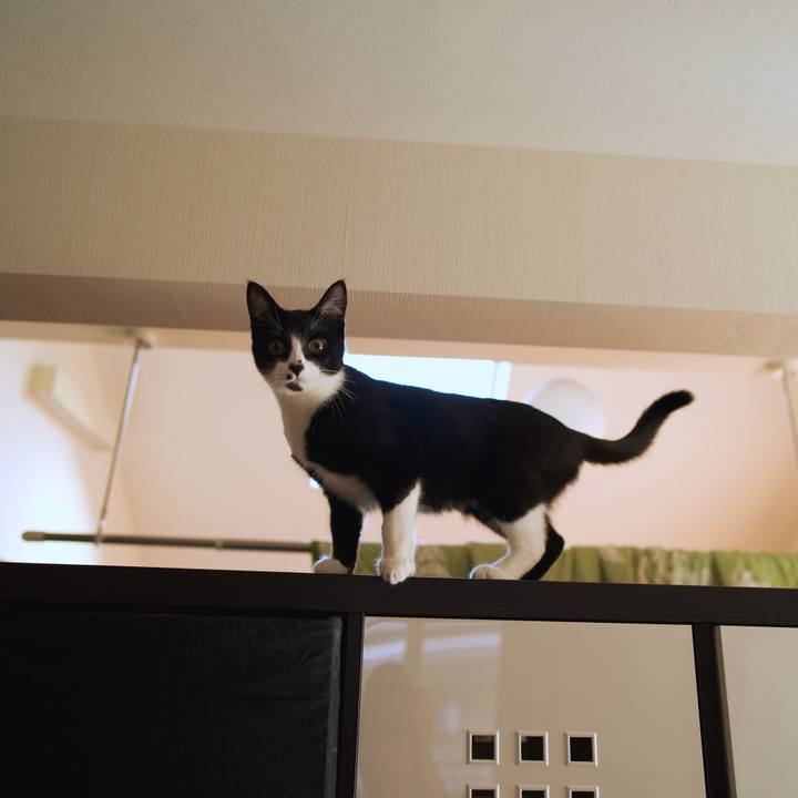 8b326146 58f7 42a1 aa73 b27ea857fe86 1582588536964