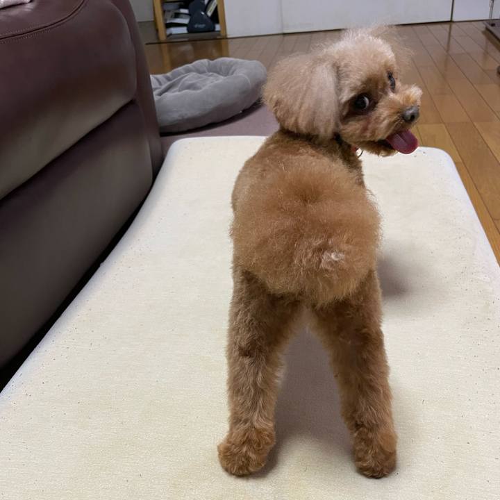 8b326b89 5f27 42aa b8c5 0ab0e0f50e5e 1681619961609