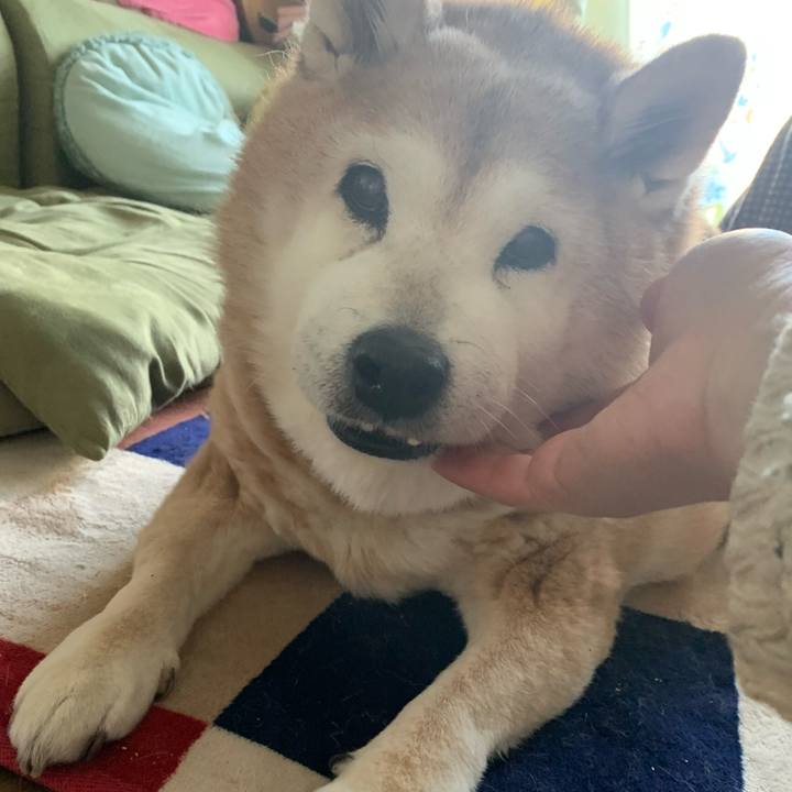 8b3278f9 48bd 41cf afa1 7e6708c73e6d 1642808187737