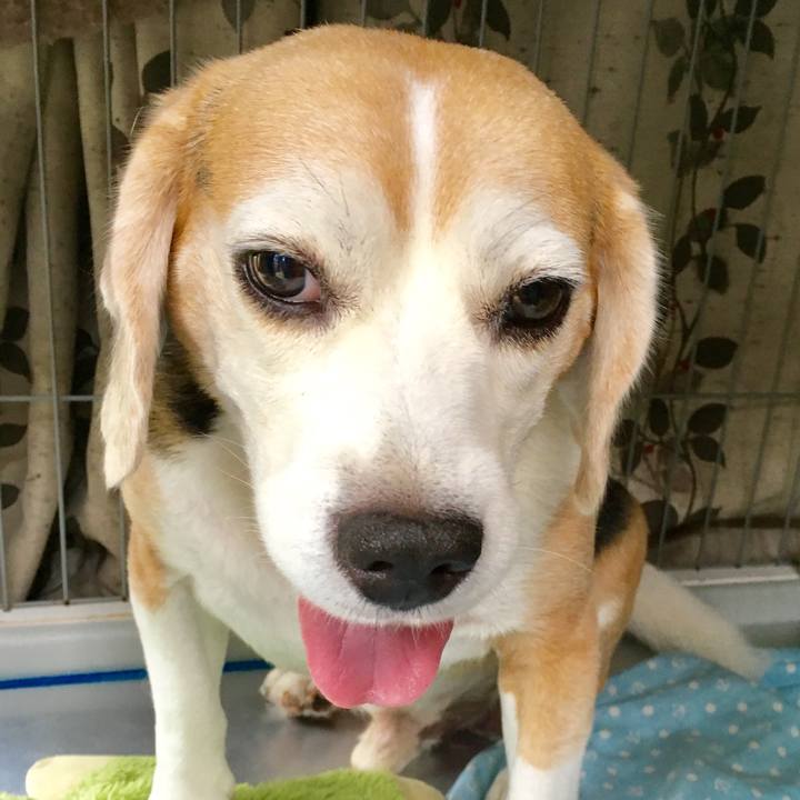 8b32a9c6 b8f7 43fe 8786 c4a84e0a349c 1535241268093