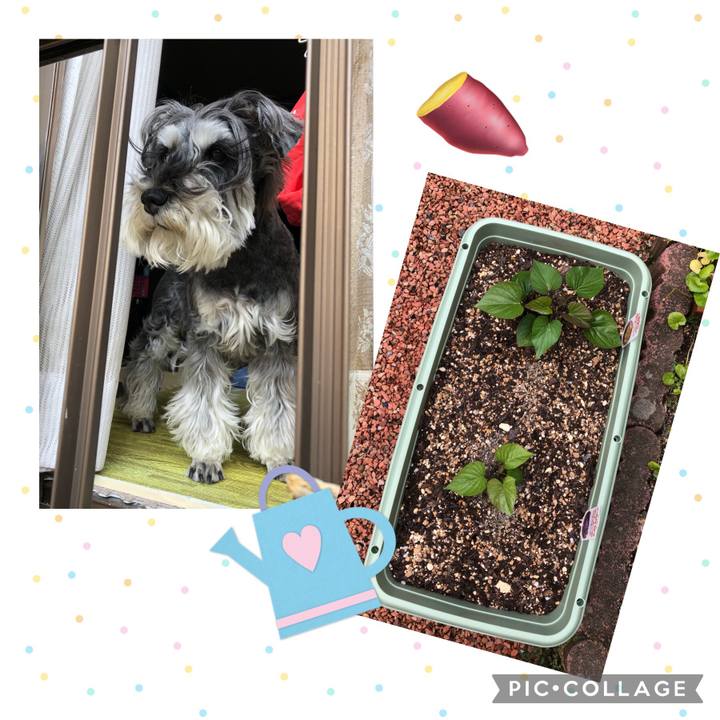 8b32c45b 1735 4b6f 86a4 0a6ce0a91178 1683987626862