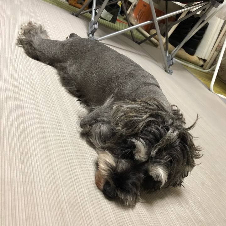 8b32f3d4 3644 4d51 add3 6cdefb942398 1567515021668