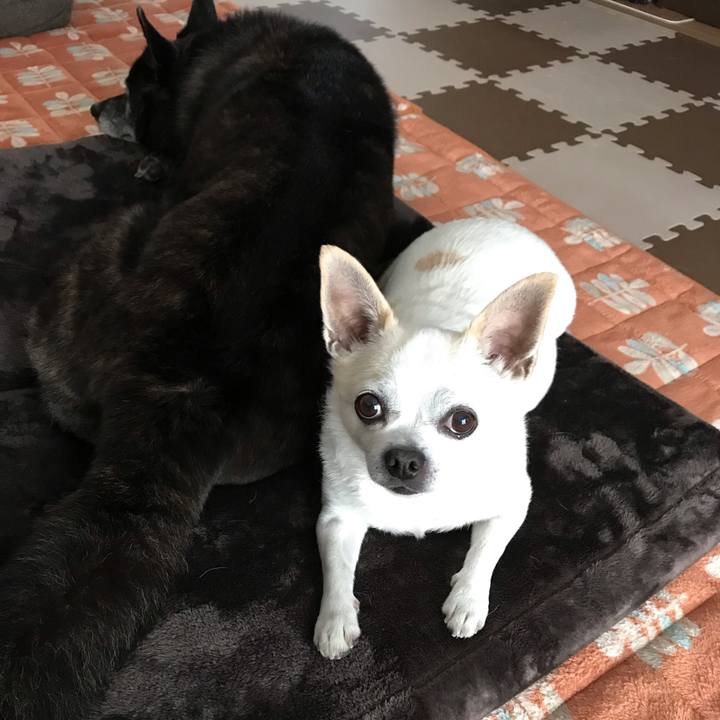 8b3300b5 4fad 47d6 8b47 a3fab7f59dfa 1560691221273