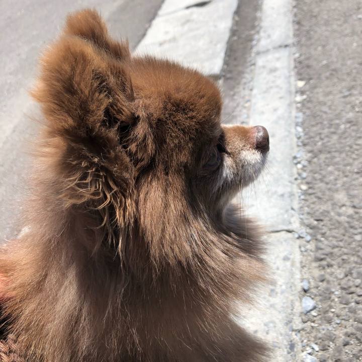 8b332c6a 13e7 4e9d 9a3e 97293aef46f1 1589431782708