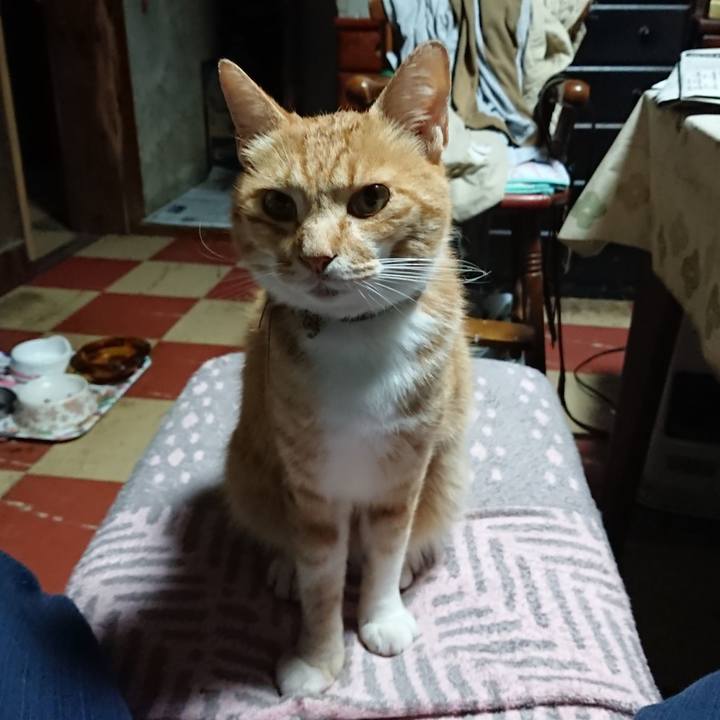 8b33306a 8e7e 430e 9659 47dc0d2eff6f 1594756478511