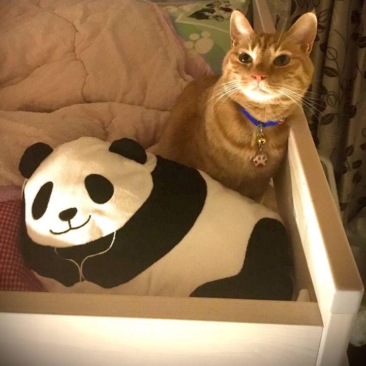 8b3354cf 9d8d 41ac bc62 090c444a1242 1571496440277