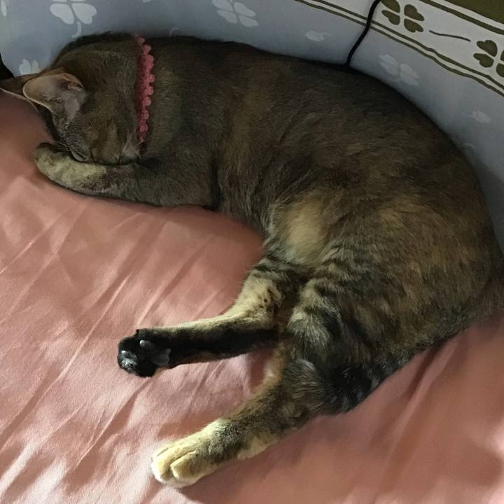 8b336528 2358 4dc5 afc7 7d3c3d44712e 1588147223291