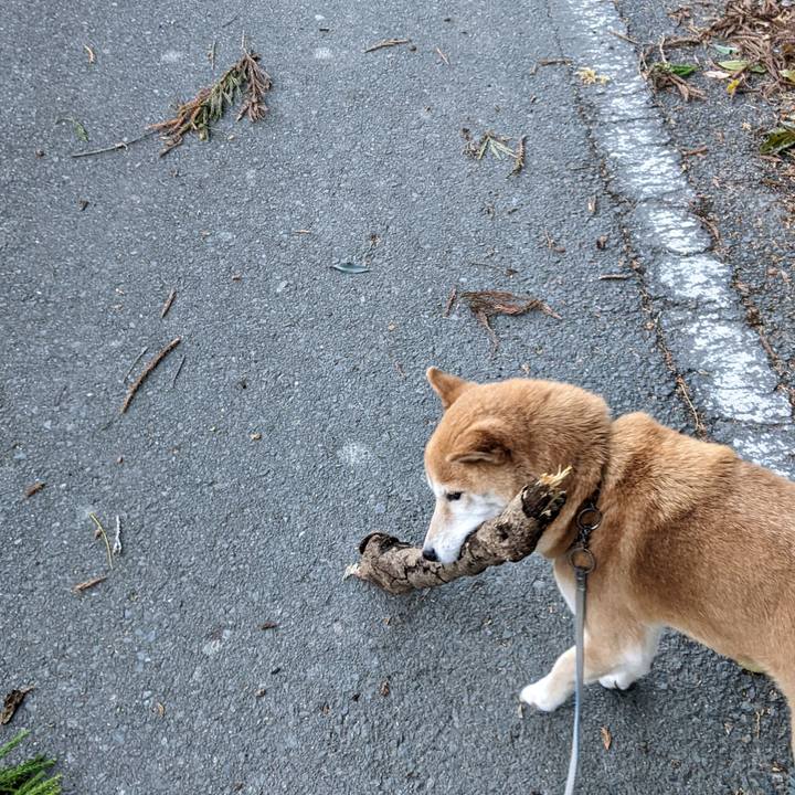 8b33686d c0b1 4182 a126 a674670841f1 1671100117009