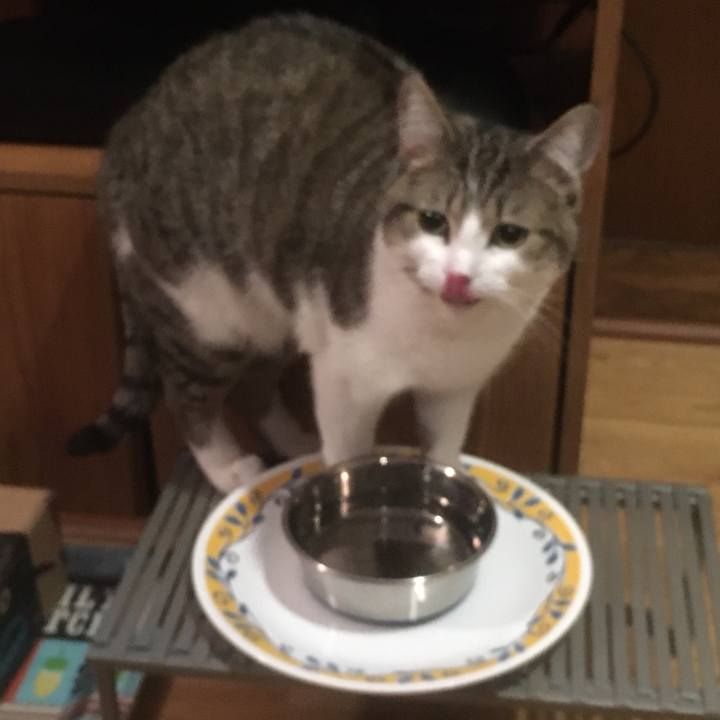 8b337123 26ab 417d b857 c9626fbb9ef6 1617760551022