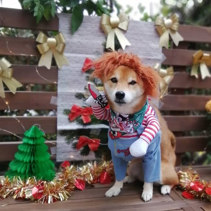 8b33a0e4 a8b1 4923 96a5 4d7696678058 1607935445417