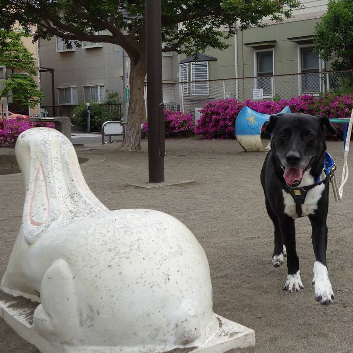 8b33b567 6e2b 41bf 87e5 7ed66e0d761a 1651972070692