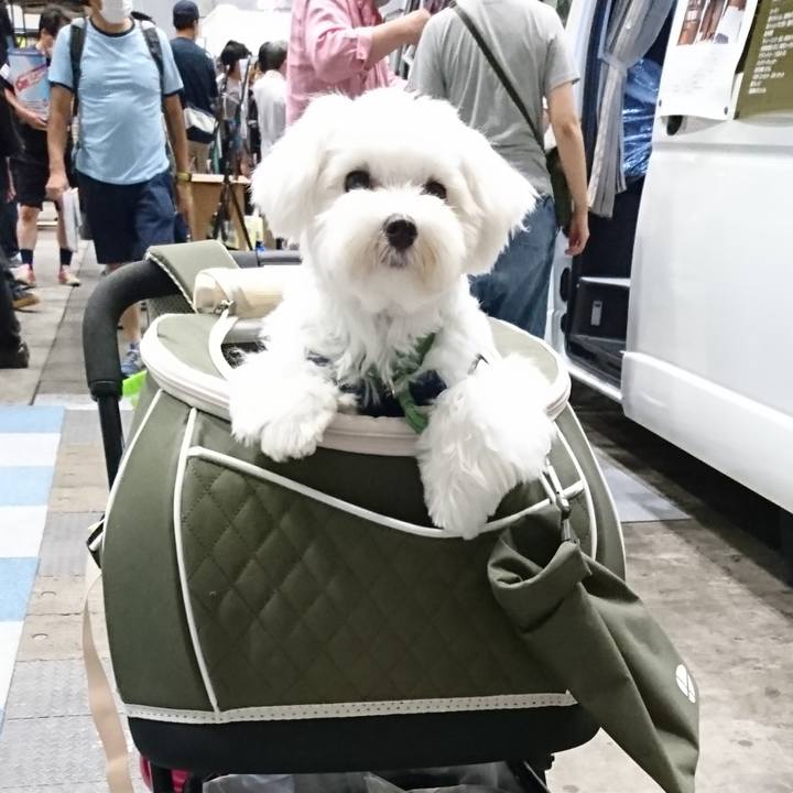 8b33bbb7 39f7 44e9 99f3 57bc9ae892d4 1600698498756