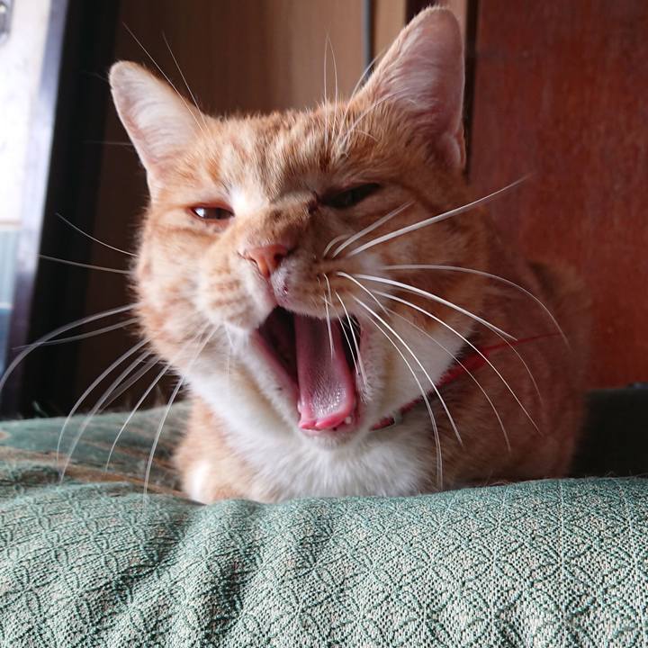 8b33f82e c9ef 4a15 a2ae ca37dd196fb0 1571544857200