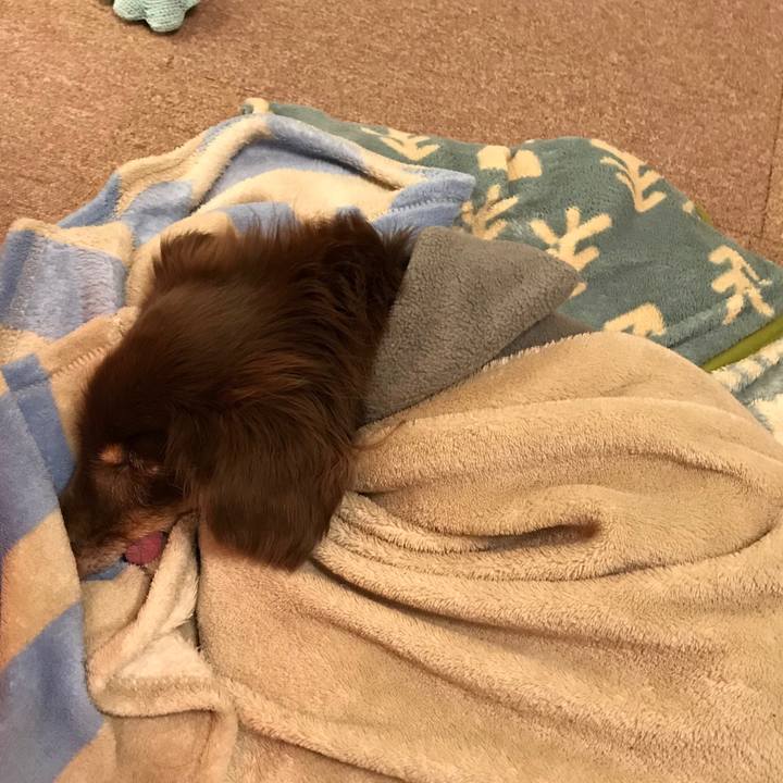 8b33fae4 9e56 45d2 93fb 78cf438dc10b 1516412585556