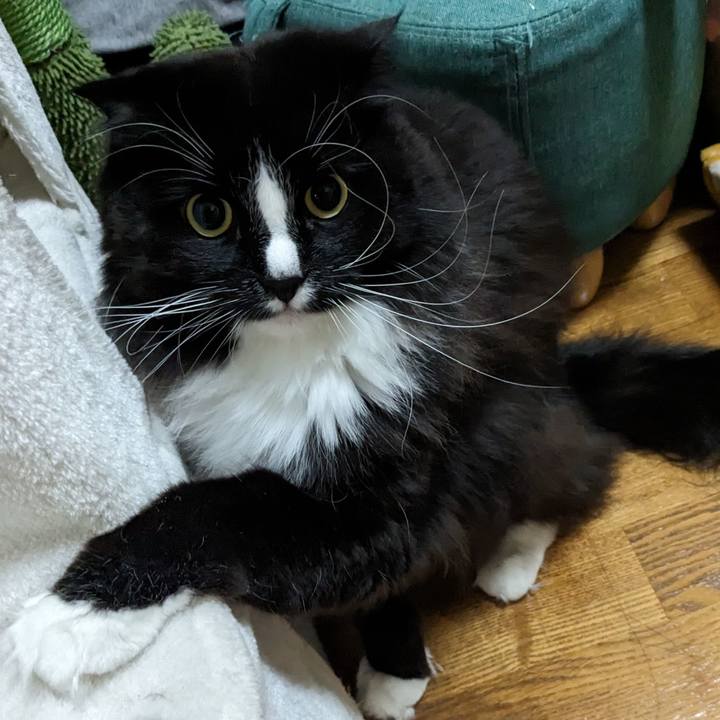 8b3433c0 0108 4d01 b1ae 0eab0f34c44d 1710847809598