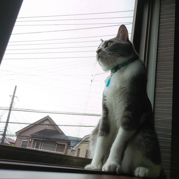 8b343708 cc58 42c8 aaa3 39a84c11c104 1594248690142