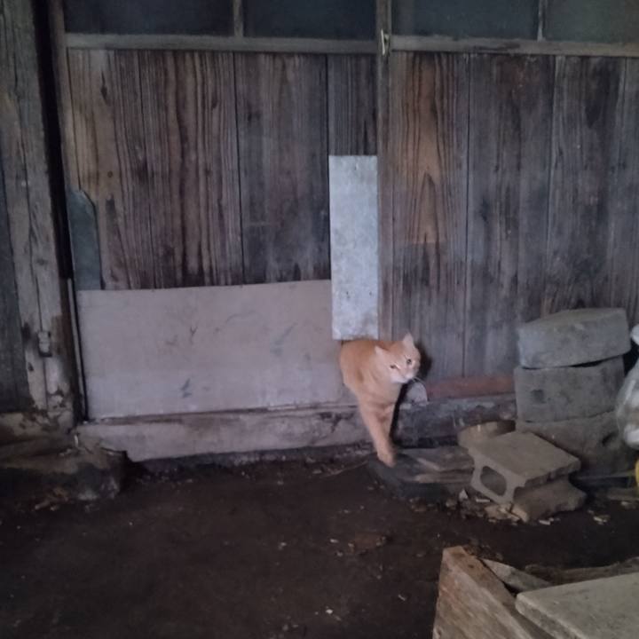 8b343c3e a43b 4b0d bdc0 c7fdae6acd33 1679611459674