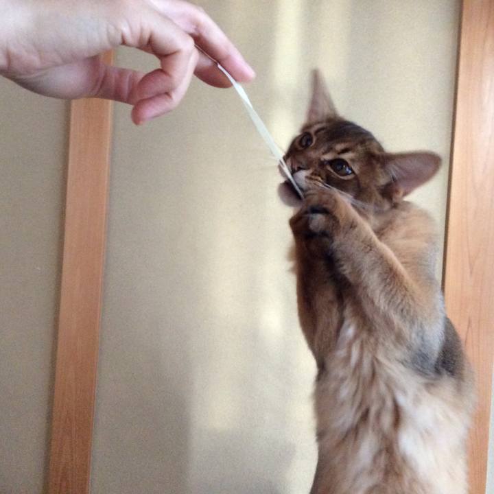 8b3477ae 3fab 47ef 9200 80a86e7b3c0a 1574292754905