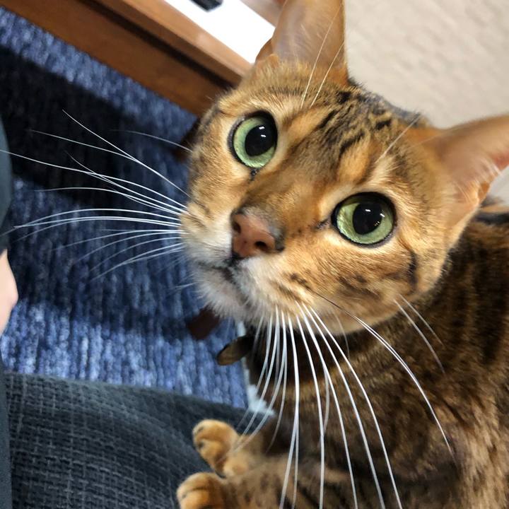 8b3479c8 6fc8 437a af19 6cbba975e9d1 1583064619111