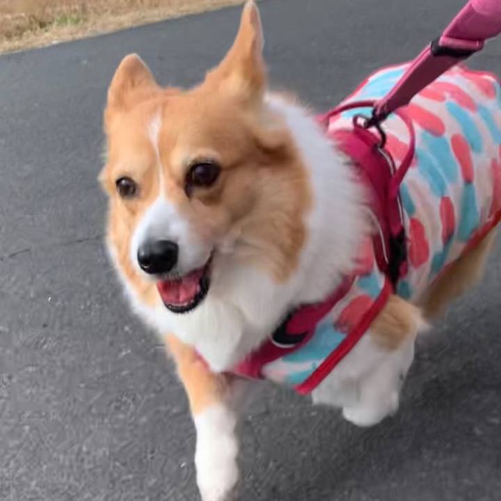 8b349916 5f02 4708 a44c f78e7438a6eb 1643519909936