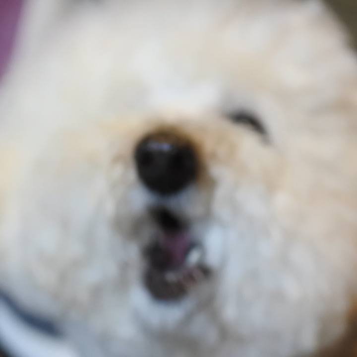 8b34ca71 ad18 4aa5 b894 2e1dc956a3f1 1770845375356