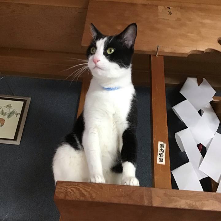 8b34d7a9 008f 4464 ba33 5da55da3604c 1728880628375