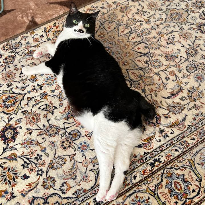 8b34e049 d34b 46a8 a7e3 ac9482e14014 1765146641786