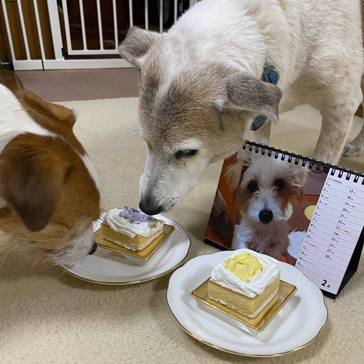 8b350255 612c 422c a6f9 c93189d5caec 1709208873247