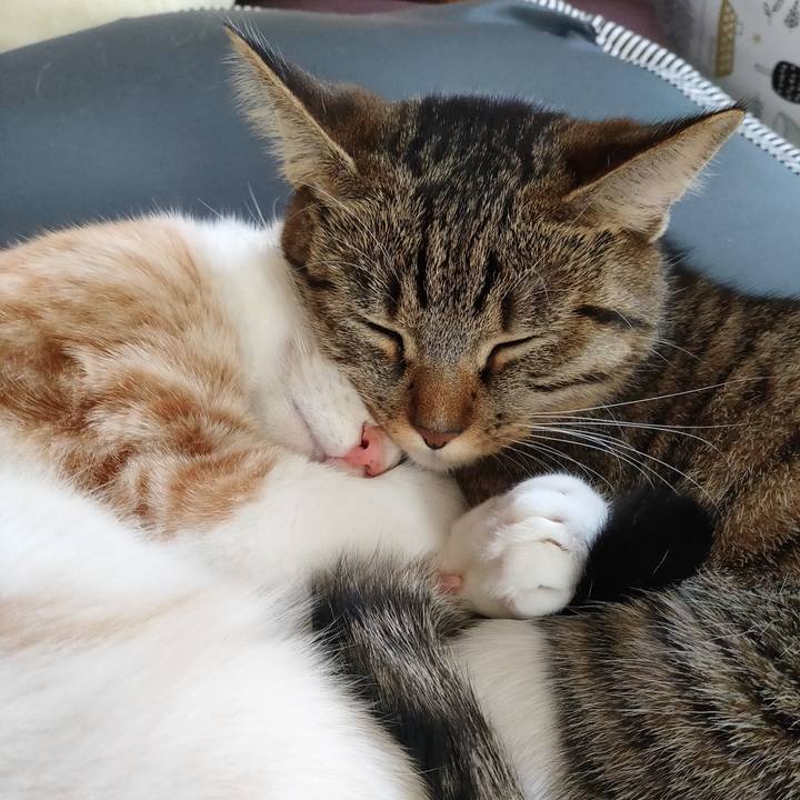 8b351b1b f057 4733 8d88 7110ddc9762f 1668055086490