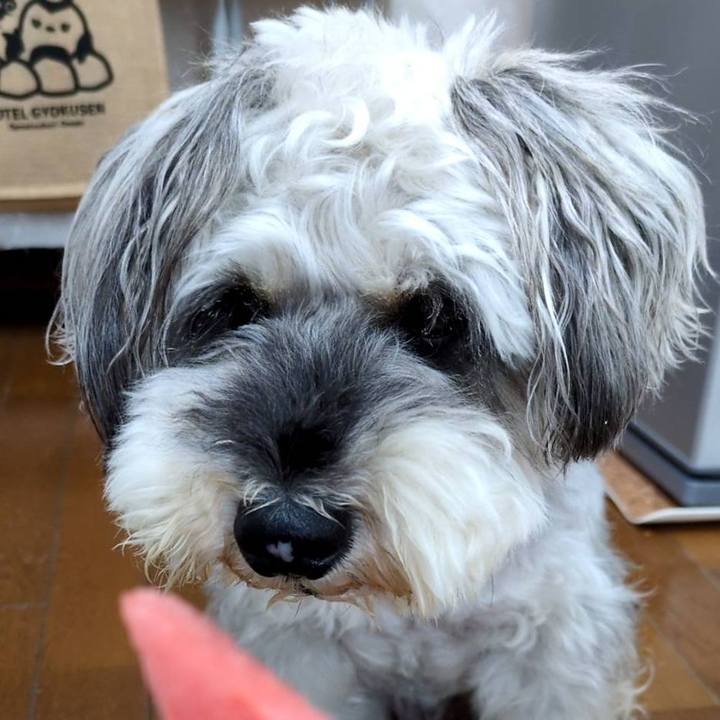 8b3550ad 7351 4164 99fd 3110b0ec6cf3 1754713246446