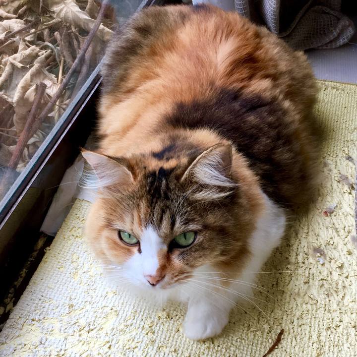 8b356412 1d4f 4568 b181 2f548df4ffb4 1567489975205