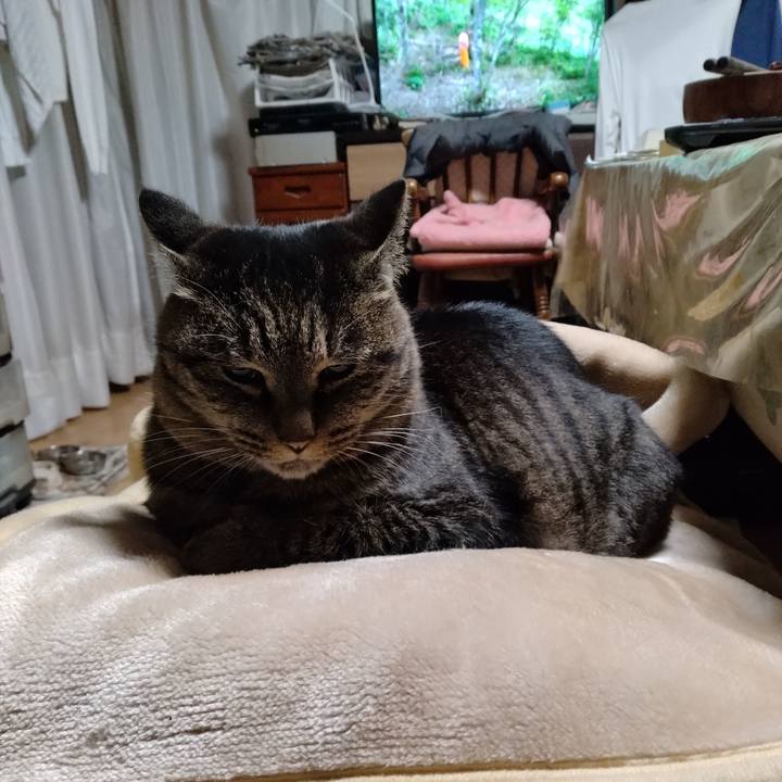 8b358356 4004 4a52 be0a cce64317c385 1703885750671