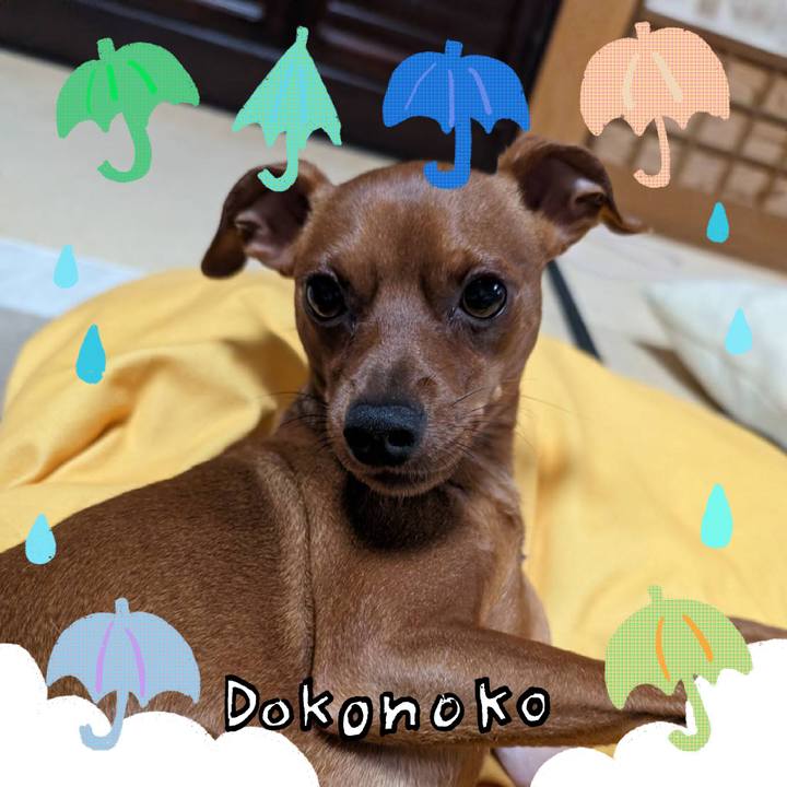 8b361787 f05e 41ff ab7c aed18630c0d6 1718502001371