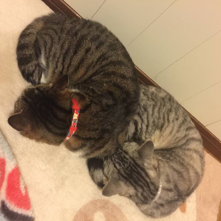 8b36203c e000 4a7a 85a3 c0bdeee9e3f3 1555504945727